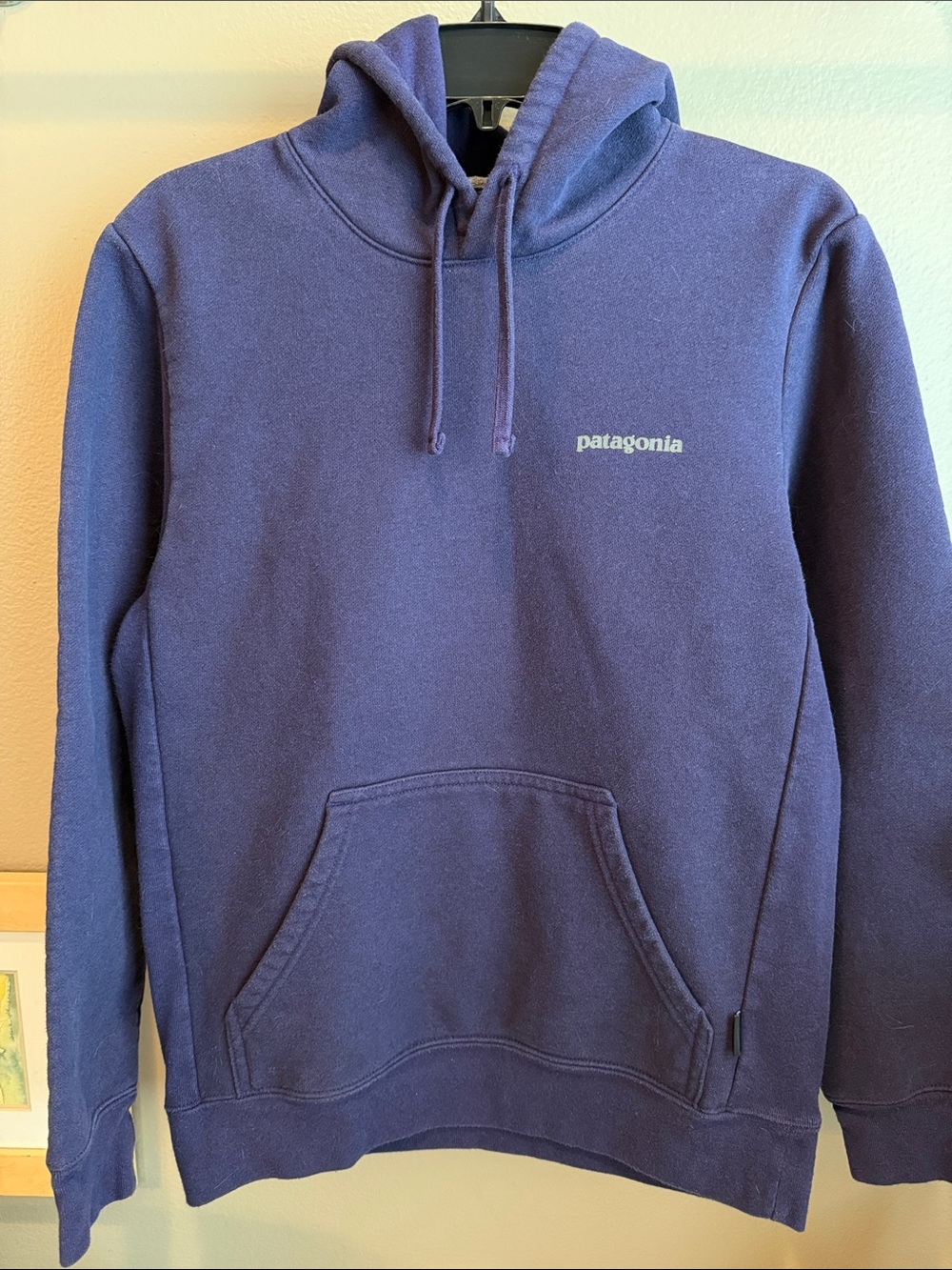 Patagonia Purple Pullover Hoodie